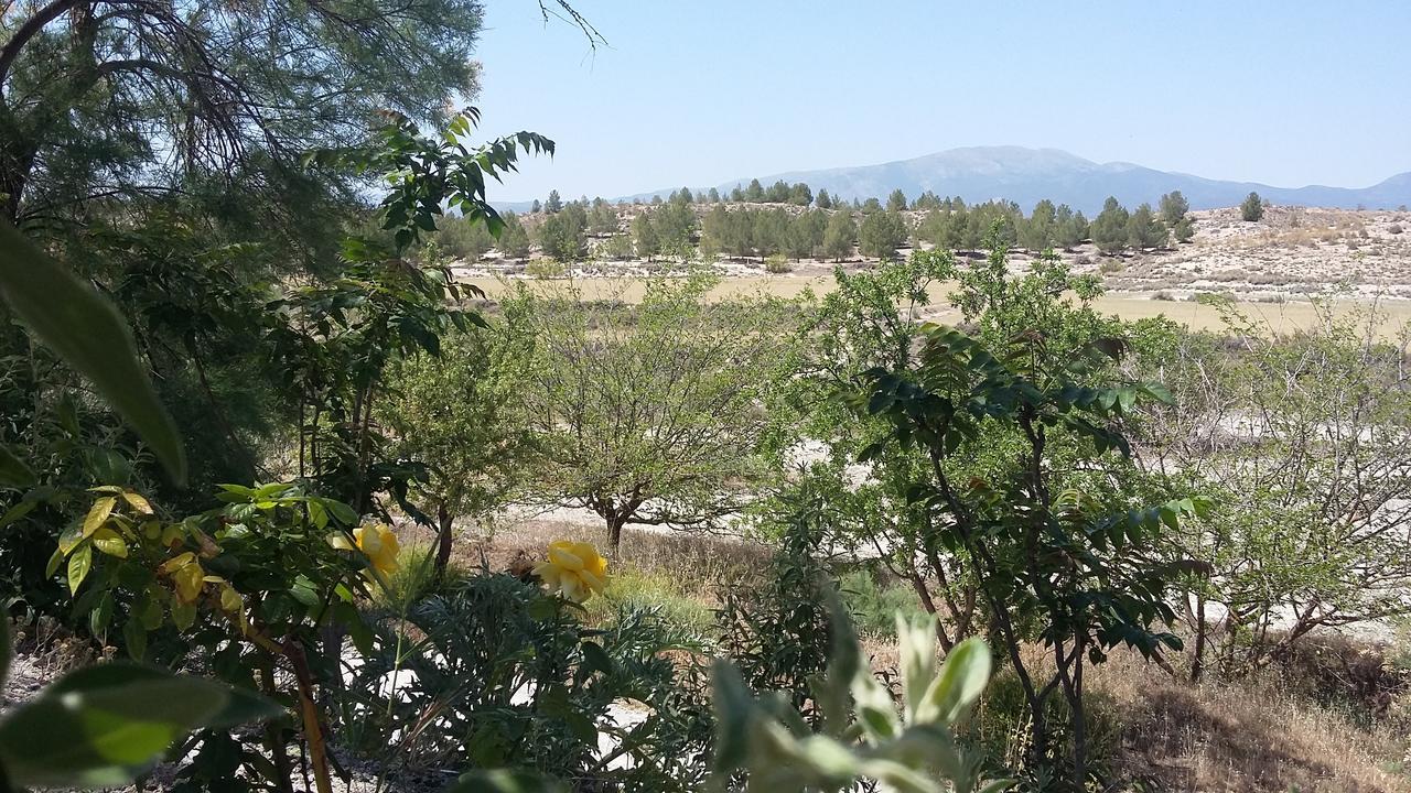 Cueva Yeseras Baza