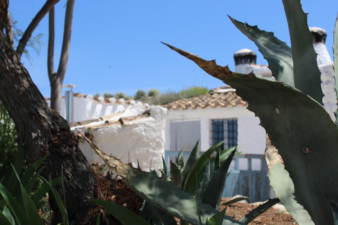 Vakantiehuis Cueva Yeseras Baza